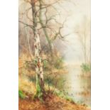 TAYLOR IRELAND (act. 1880-1927) PAIR OF WATERCOLOUR DRAWINGS ?A Woodland Dell? ?The Silver Birch?