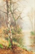 TAYLOR IRELAND (act. 1880-1927) PAIR OF WATERCOLOUR DRAWINGS ?A Woodland Dell? ?The Silver Birch?