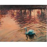 ROLF HARRIS (b.1930) ARTIST SIGNED LIMITED EDITION COLOUR PRINT ?Swan in the Morning?, (24/195)