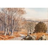 WILLIAM STIRLING MARTIN WATERCOLOUR DRAWING 'Bridle Path, Tilberthwaite' Signed and labelled verso 9