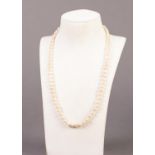 SINGLE STRAND NECKLACE OF FRESHWATER PEARLS with 9ct gold clasp