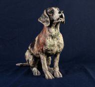 APRIL SHEPHERD (TWENTIETH/ TWENTY FIRST CENTURY) LIMITED EDITION RESIN MODEL OF A DOG ?Paying