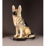 BESWICK POTTERY MODEL OF A SEATED ALSATION DOG, (2410), 14? (35.6cm) high, together with a BESWICK
