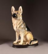 BESWICK POTTERY MODEL OF A SEATED ALSATION DOG, (2410), 14? (35.6cm) high, together with a BESWICK