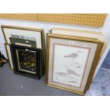 A SET OF FOUR GILT FRAMED BIRD PRINTS AND A SELECTION OF OTHER PRINTS
