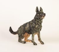 APRIL SHEPHERD (TWENTIETH/ TWENTY FIRST CENTURY) LIMITED EDITION RESIN MODEL OF A DOG ?Raring to