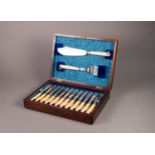 TWELVE PAIR J.W. & Co. EARLY 20th CENTURY ELECTROPLATE FISH EATERS AND MATCHING SERVERS, with