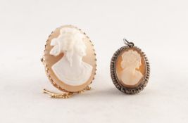 TWO CARVED OVAL SHELL CAMEO BROOCHES (one in unmarked gold coloured metal frame)