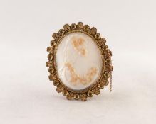 LATE 19th CENTURY OVAL CARVED SHELL CAMEO BUST OF A PERSIAN NOBLEMAN, in gilt metal frame with