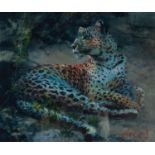 ROLF HARRIS (b.1930) ARTIST SIGNED LIMITED EDITION COLOUR PRINT ?Leopard Reclining at Dusk?, (37/