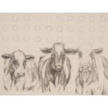 HAYLEY GOODHEAD (MODERN) PENCIL DRAWING ?Damien?s Herd Study Sketch? Initialled, titled to gallery