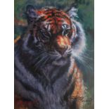 ROLF HARRIS (b.1930) ARTIST SIGNED LIMITED EDITION ?DELUXE CANVAS? COLOUR PRINT ?Tiger in the