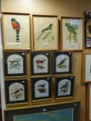 AFTER J & E GOULD SUITE OF THREE REPRODUCTION COLOUR PRINTS OF PARROTS 15 ½? X 11 ½? MODERN SUITE OF