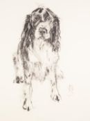 APRIL SHEPHERD (MODERN) MIXED MEDIA ON PAPER Spaniel Monogrammed 23 ½? x 17 ½? (59.7cm x 44.4cm) C/