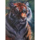 ROLF HARRIS (b.1930) ARTIST SIGNED LIMITED EDITION CANVAS COLOUR PRINT ?Tiger in the Sun?, (125/