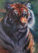 ROLF HARRIS (b.1930) ARTIST SIGNED LIMITED EDITION CANVAS COLOUR PRINT ?Tiger in the Sun?, (125/