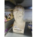 L.N. FOWLER POTTERY 'PHRENOLOGICAL' HEAD