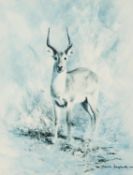 DAVID SHEPHERD ARTIST SIGNED COLOUR PRINT Gazelle Signed to the mount 8? x 6 ¼? (20.3cm x 15.9cm),