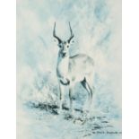 DAVID SHEPHERD ARTIST SIGNED COLOUR PRINT Gazelle Signed to the mount 8? x 6 ¼? (20.3cm x 15.9cm),