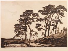 ANDREW WATSON TURNBULL (1874-1957) ORIGINAL ETCHING WITH AQUATINE 'February Fill Dyke' Signed and