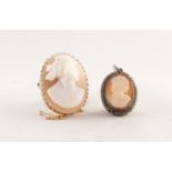 TWO CARVED OVAL SHELL CAMEO BROOCHES (one in unmarked gold coloured metal frame)