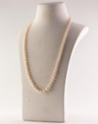 SINGLE STRAND NECKLACE OF GRADUATED CULTURED PEARLS with silver and marcasite clasp, 22in (55.8cm)