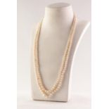 TWO STRAND NECKLACE OF GRADUATED CULTURED PEARLS, 19in (48.2cm) long, with gold safety chain