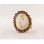 LATE 19th CENTURY OVAL CARVED SHELL CAMEO BROOCH BUST OF A PERSIAN NOBLEMAN, in gilt metal frame
