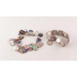 FOREIGN SILVER COLOURED METAL (835 mark) CHARM BRACELET with 18 small shied charms enamelled with