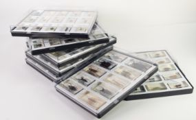 PROPRIETARY COLLECTION OF INSECT AND OTHER SPECIMENS encapsulated in perspex oblong blocks, to