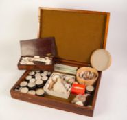 EARLY TWENTIETH CENTURY WELL ANNOTATED SMALL COLLECTON OF SEA/MOLLUSC SHELLS, some in drum shape