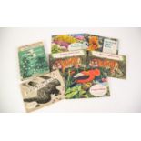SIX ALBUMS OF BROOKE BOND STUCK IN PICTURE CARDS, animals, birds and wild flowers all illustrated