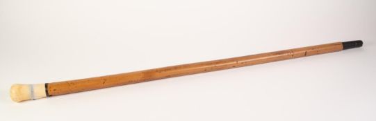 EARLY TWENTIETH  CENTURY MALACCA WALKING CANE, with turned and hollow carved ivory two part knob