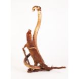 TAXIDERMIC SPECIMEN OF A MONGOOSE ATTACKING A REARING COBRA, 23" (58.5cm) high (a.f.)