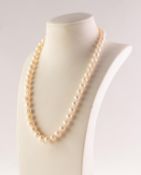 SINGLE STRAND NECKLACE OF UNIFORM CULTURED PEARLS, 15in (38.1cm) long, (53 pearls), silver clasp