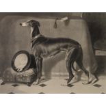 AFTER EDWIN LANDSEER FOUR ENGRAVINGS ?Eos? ?Dash, Hector, Nero and Lorie? 13? x 16 ½? (33cm x