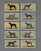 FULL SET OF FIFTY CHURCHMAN?S ?RACING GREYHOUNDS? CIGARETTE CARDS, in five clear plastic holders,