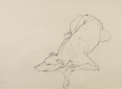 JO TAYLOR (b.1969) PENCIL DRAWING Recumbent greyhound Unsigned 17? x 24? (43.2cm x 61cm)