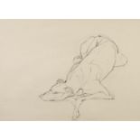 JO TAYLOR (b.1969) PENCIL DRAWING Recumbent greyhound Unsigned 17? x 24? (43.2cm x 61cm)