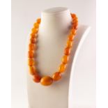 SINGLE STRAND NECKLACE OF GRADUATED OVAL BUTTERSCOTCH AMBER BEADS, 16in (40.6cm) long, approximately