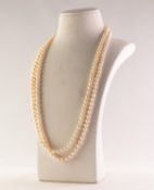 LONG, CONTINUOUS SINGLE STRAND NECKLACE of uniform cultured pearls, 48in (121.9cm) long, (110