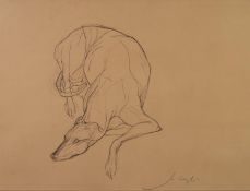 JO TAYLOR (b.1969) BROWN PENCIL DRAWING ON BUFF COLOURED PAPER Recumbent greyhound Signed 16? x