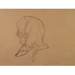 JO TAYLOR (b.1969) BROWN PENCIL DRAWING ON BUFF COLOURED PAPER Recumbent greyhound Signed 16? x