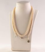SINGLE STRAND NECKLACE OF GRADUATED CULTURED PEARLS, with paste set metal clasp, (incomplete) and