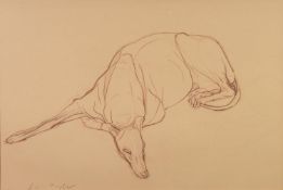 JO TAYLOR (b.1969) BROWN PENCIL DRAWING ON BUFF COLOURED PAPER Recumbent greyhound Signed 17? x