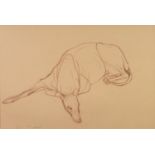 JO TAYLOR (b.1969) BROWN PENCIL DRAWING ON BUFF COLOURED PAPER Recumbent greyhound Signed 17? x