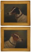 Early 20th century Brit. School, A pair of portraits of Parson Jack Russell Terriers, oil on board