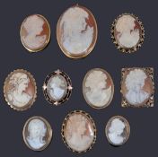 A large collection of ten gold mounted oval carved shell cameo portrait brooches