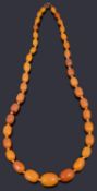 A graduated single row butterscotch amber bead necklace