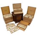 A collection of seven boxes of prepared specimen slides